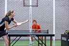 OZK 2011