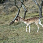 Workshop natuurfotografie 15