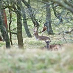 Workshop natuurfotografie 17