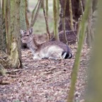 Workshop natuurfotografie 21