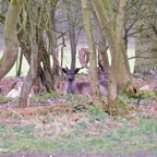 Workshop natuurfotografie 23