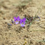 Workshop natuurfotografie 35