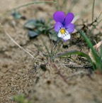 Workshop natuurfotografie 37